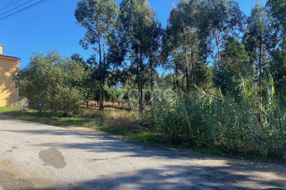 Terreno para Venda em Pampilhosa Foto 3
