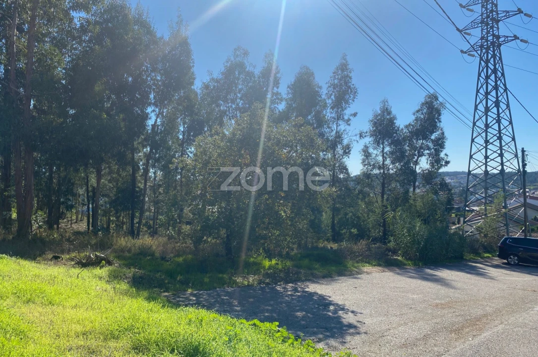 Terreno para Venda em Pampilhosa Foto 1