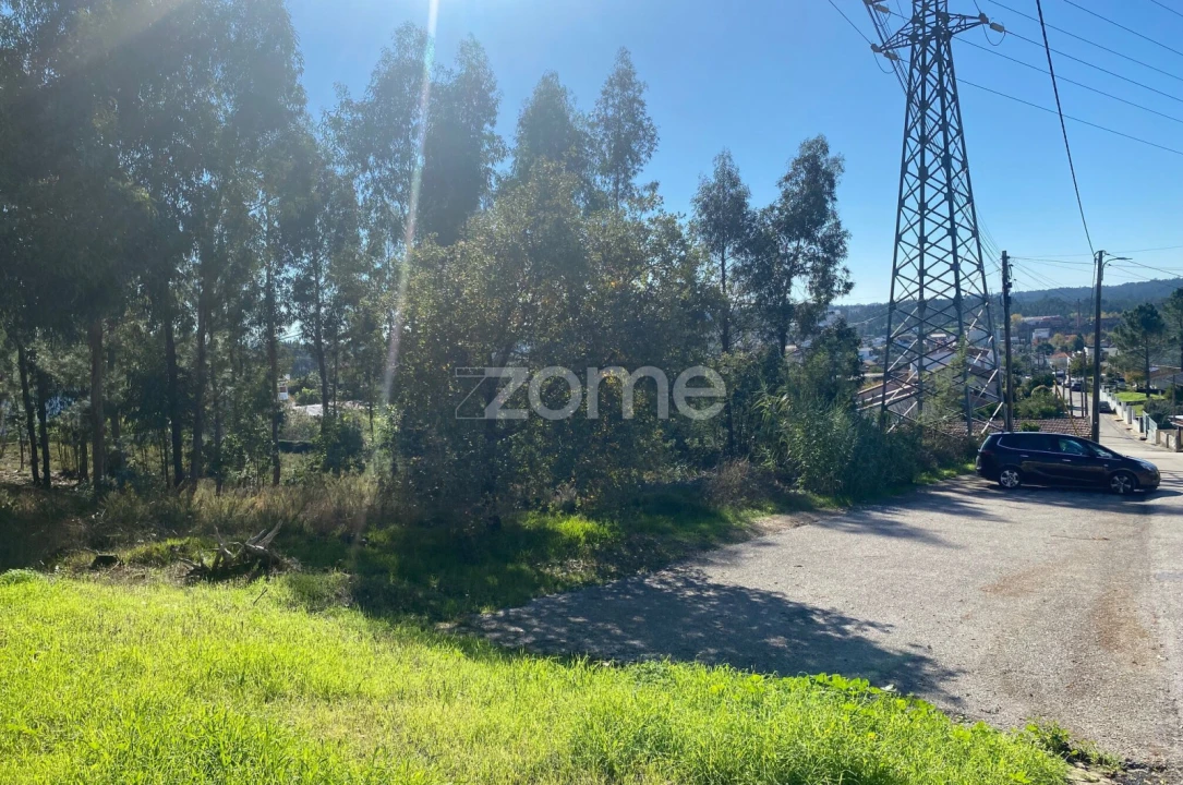 Terreno para Venda em Pampilhosa Foto 6