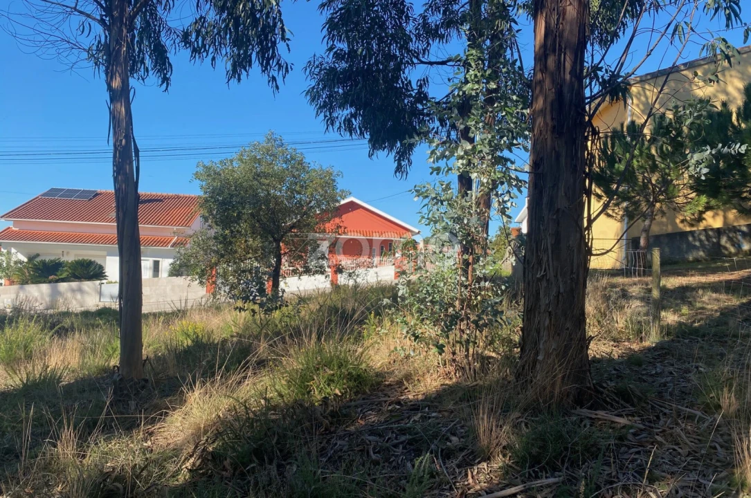 Terreno para Venda em Pampilhosa Foto 16