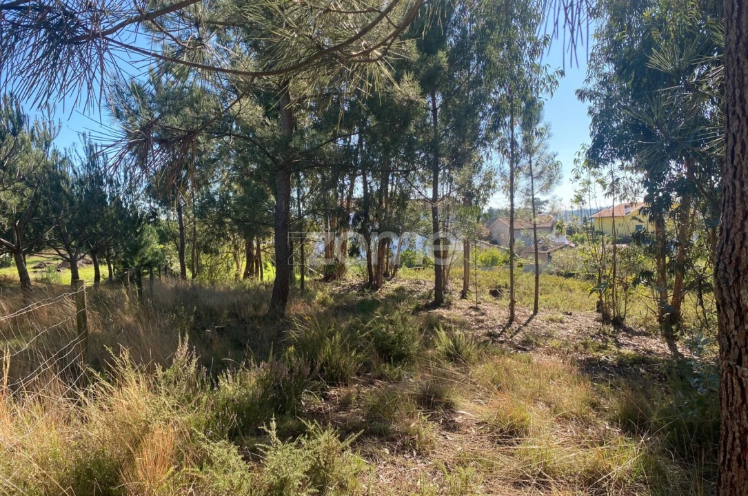 Terreno para Venda em Pampilhosa Foto 17