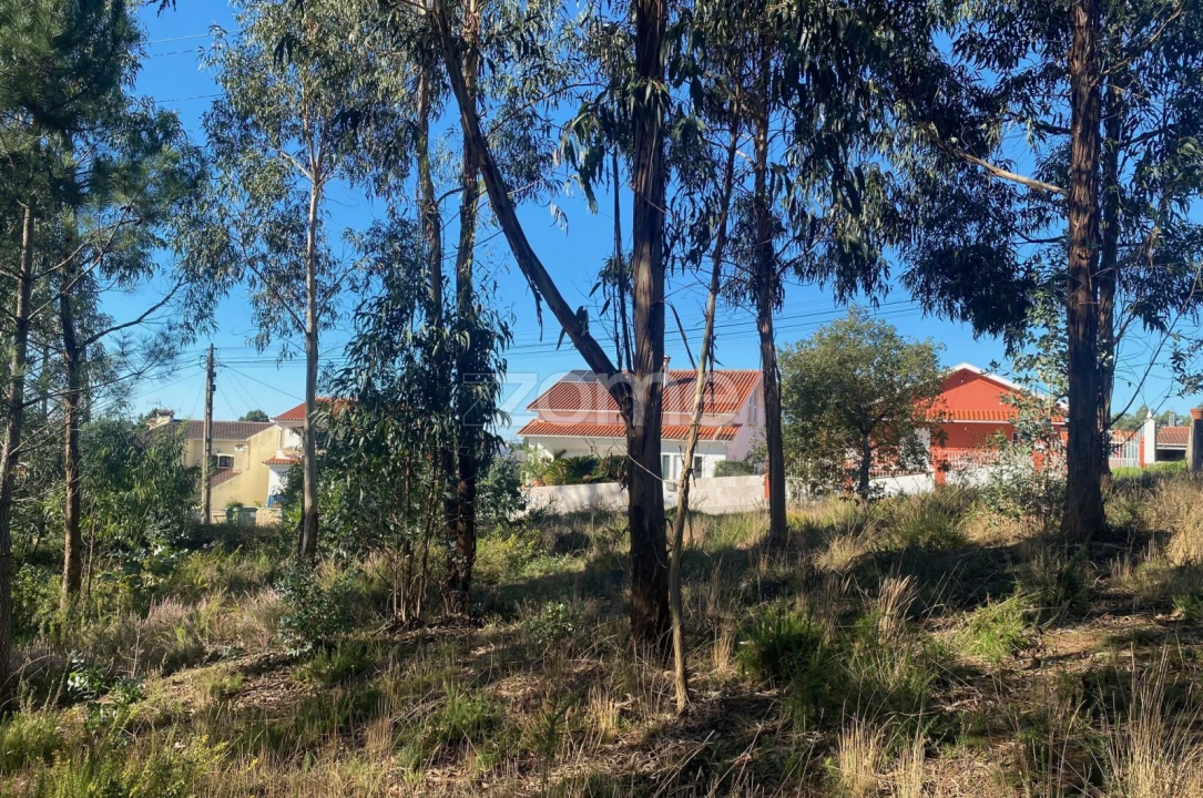 Terreno para Venda em Pampilhosa Foto 19