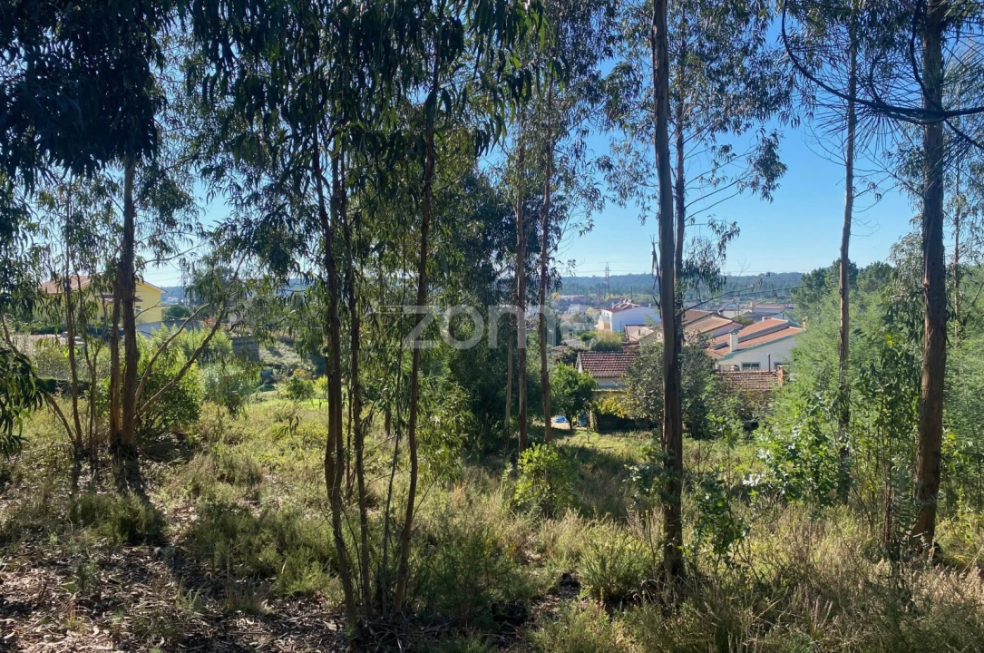 Terreno para Venda em Pampilhosa Foto 20