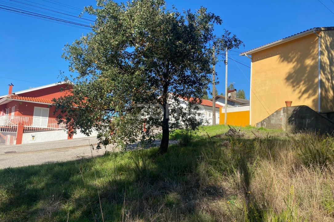 Terreno para Venda em Pampilhosa Foto 9