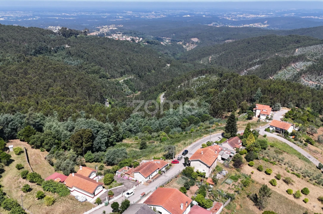 Terreno para Venda em Luso Foto 5