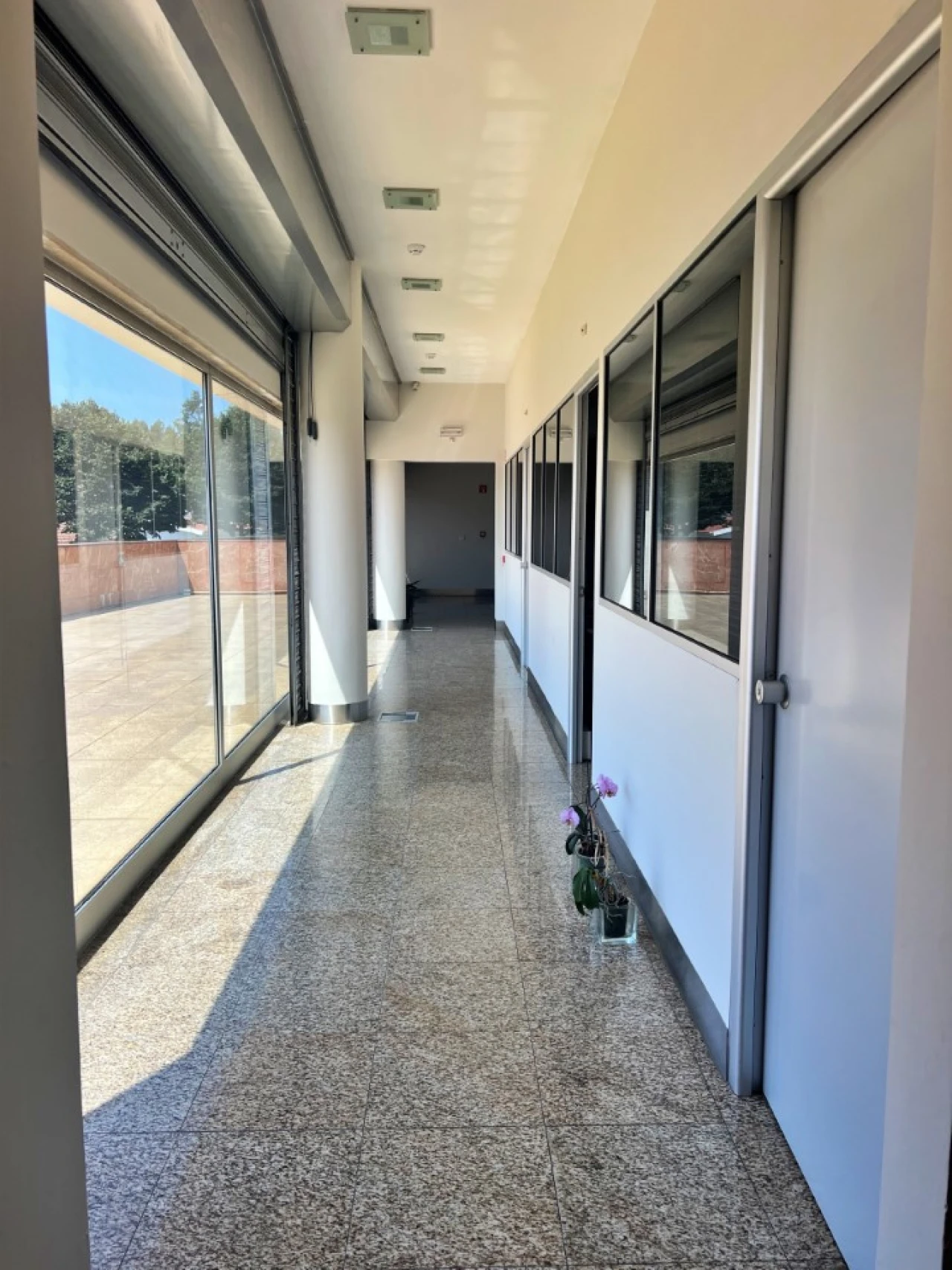 Escritório para Arrendamento em Moreira Foto 3