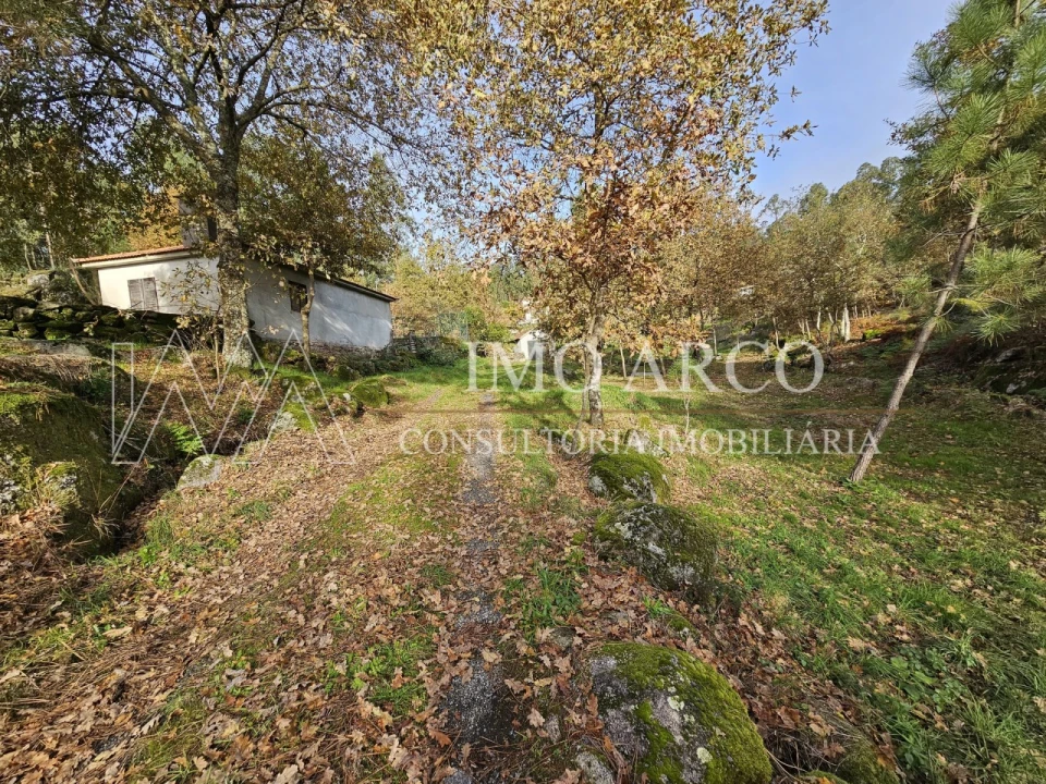 Terreno Agricola ou Rústico para Venda em Cavez Foto 7