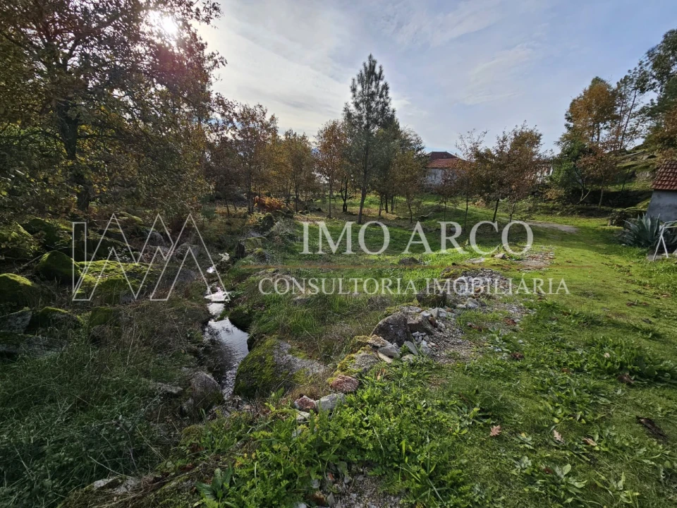 Terreno Agricola ou Rústico para Venda em Cavez Foto 10