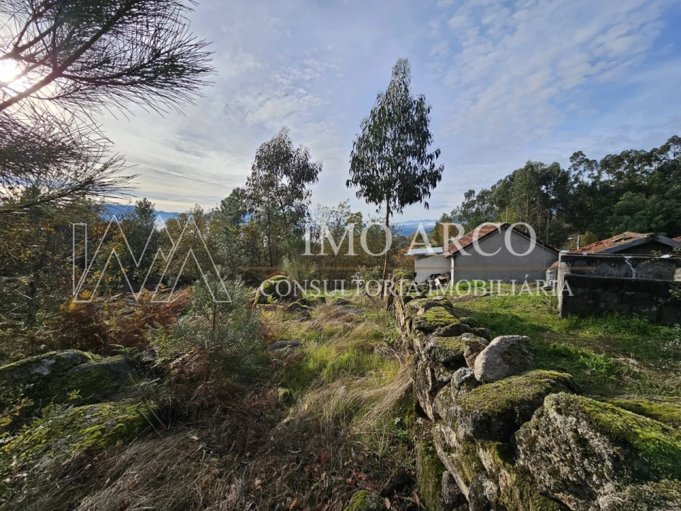 Terreno Agricola ou Rústico para Venda em Cavez Foto 11