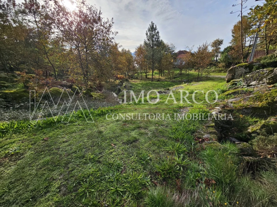 Terreno Agricola ou Rústico para Venda em Cavez Foto 13