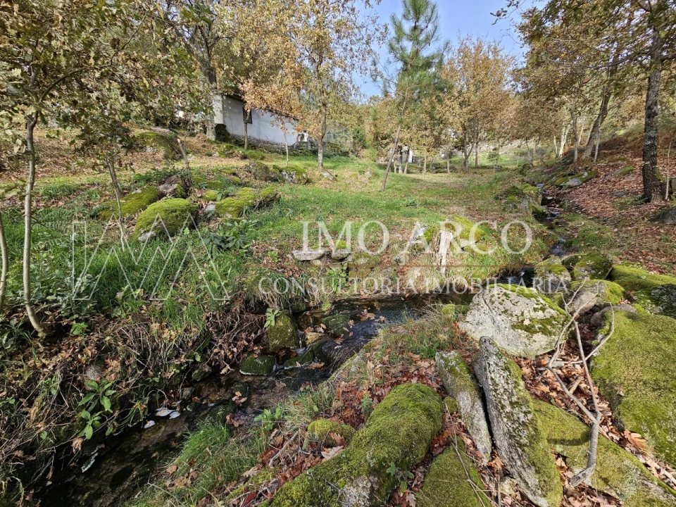 Terreno Agricola ou Rústico para Venda em Cavez Foto 16