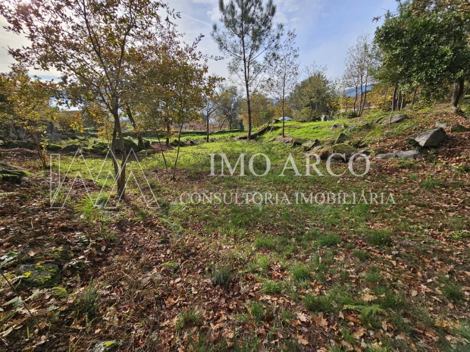 Terreno Agricola ou Rústico para Venda em Cavez Foto 17