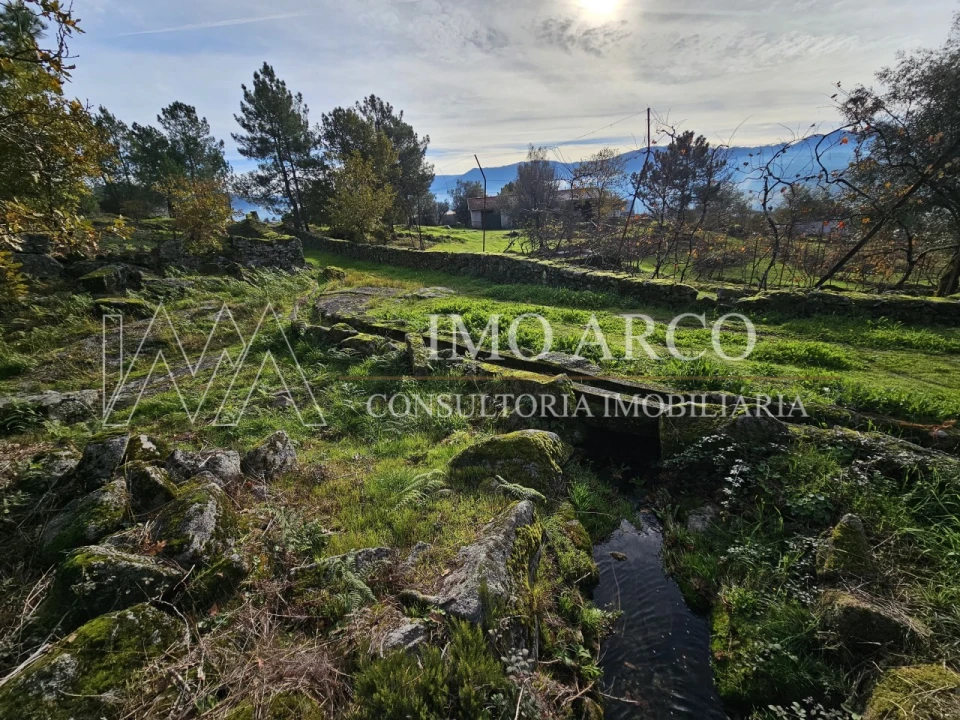 Terreno Agricola ou Rústico para Venda em Cavez Foto 18