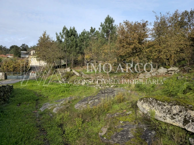 Terreno Agricola ou Rústico para Venda em Cavez Foto 2
