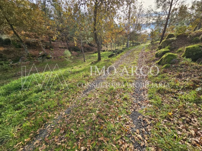 Terreno Agricola ou Rústico para Venda em Cavez Foto 8