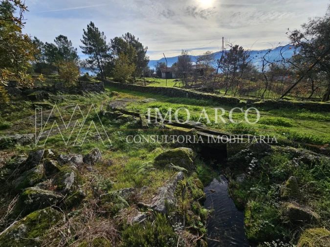 Terreno Agricola ou Rústico para Venda em Cavez Foto 18