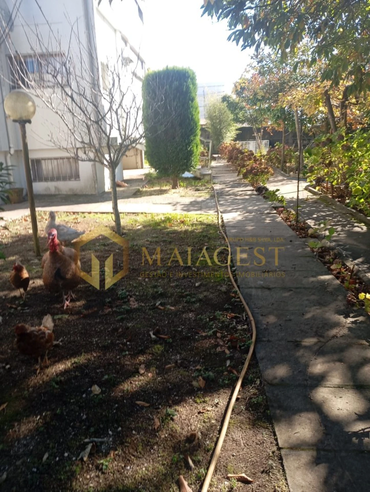 Moradia T6 para Venda em Mozelos Foto 36