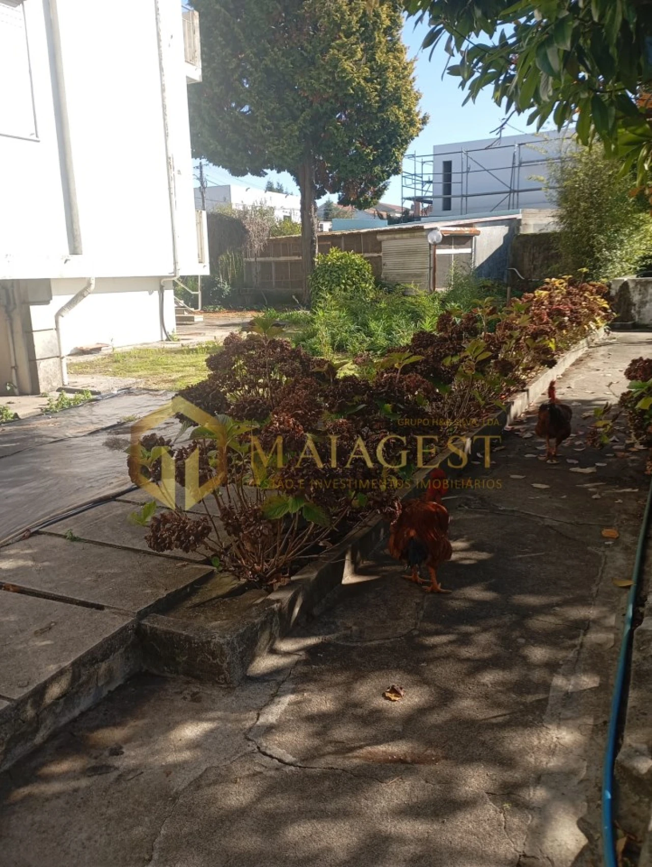 Moradia T6 para Venda em Mozelos Foto 38