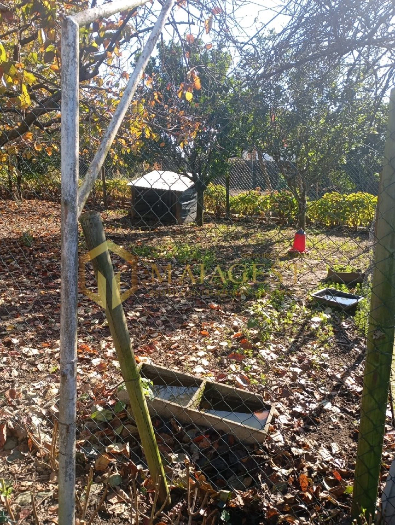 Moradia T6 para Venda em Mozelos Foto 43