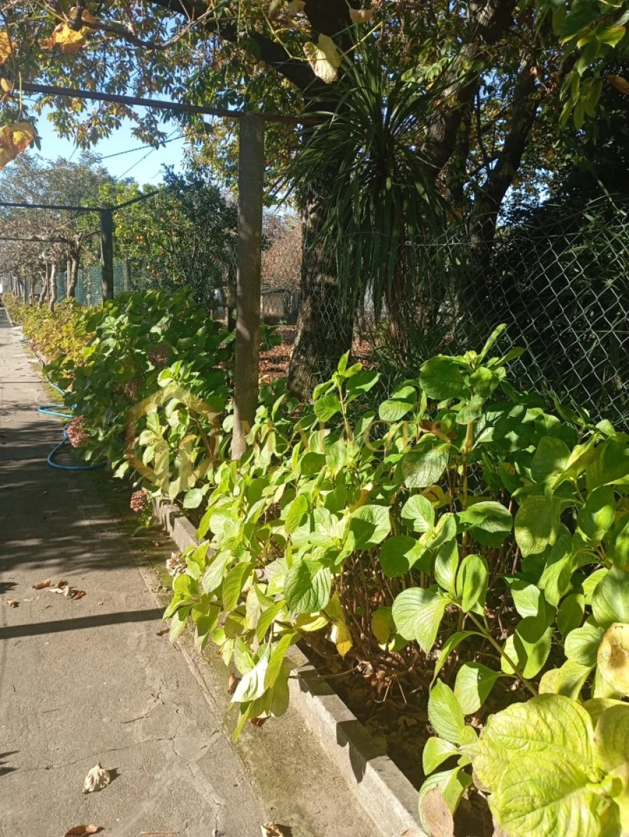 Moradia T6 para Venda em Mozelos Foto 39