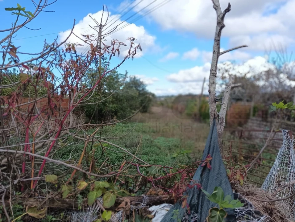 Moradia T2 para Venda em Ouca Foto 21