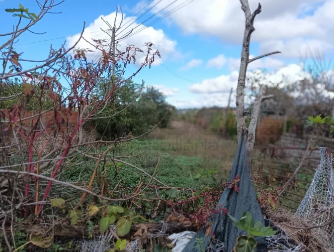 Moradia T2 para Venda em Ouca Foto 21