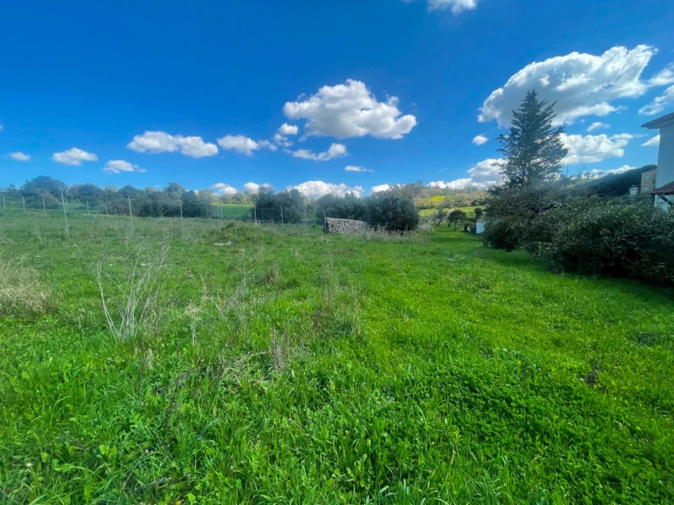 Terreno P/ Prédio para Venda em Milharado Foto 4