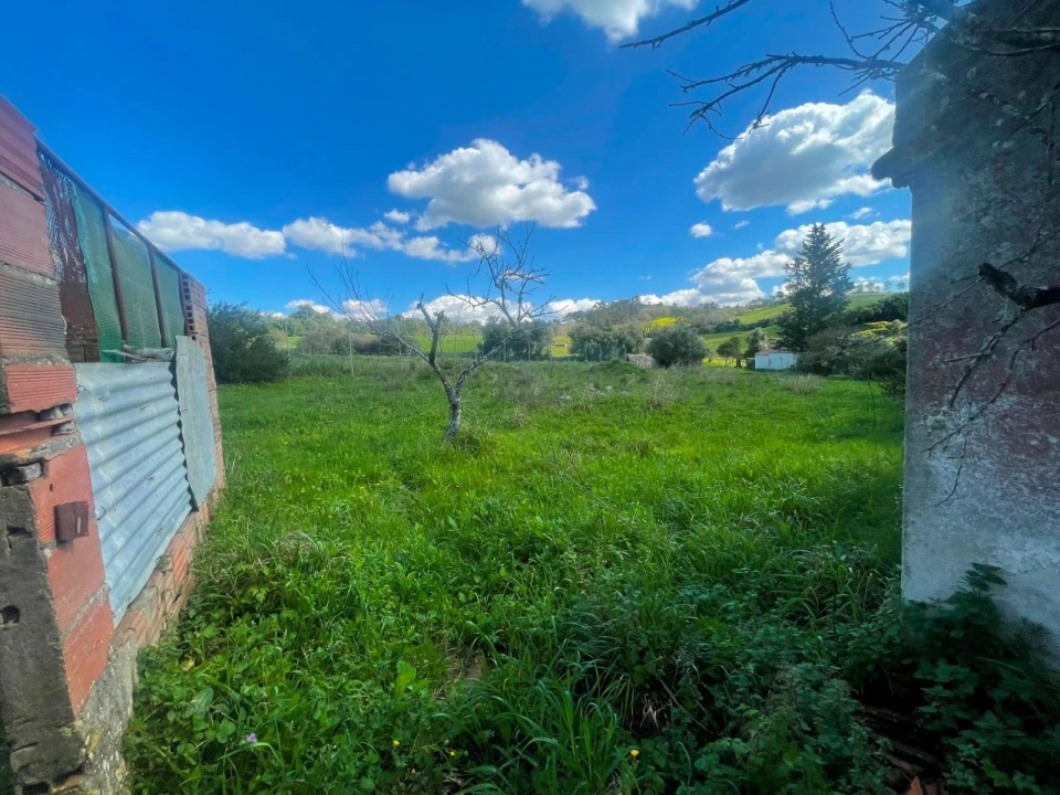 Terreno P/ Prédio para Venda em Milharado Foto 11