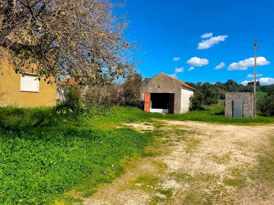 Terreno P/ Prédio para Venda em Milharado Foto 21