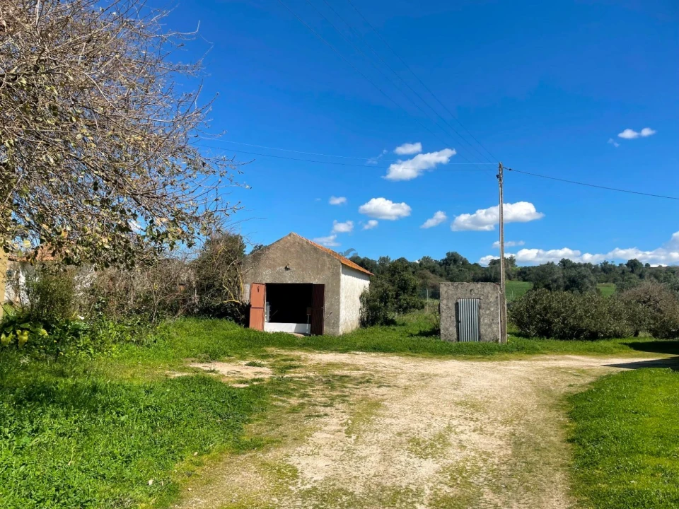 Terreno P/ Prédio para Venda em Milharado Foto 23