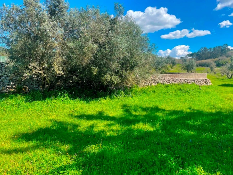 Terreno P/ Prédio para Venda em Milharado Foto 24