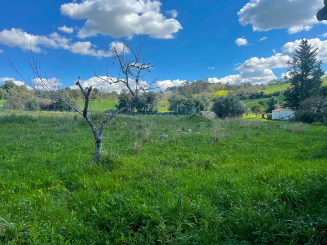 Terreno P/ Prédio para Venda em Milharado Foto 10