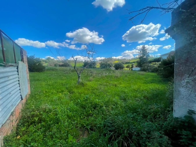Terreno P/ Prédio para Venda em Milharado Foto 12