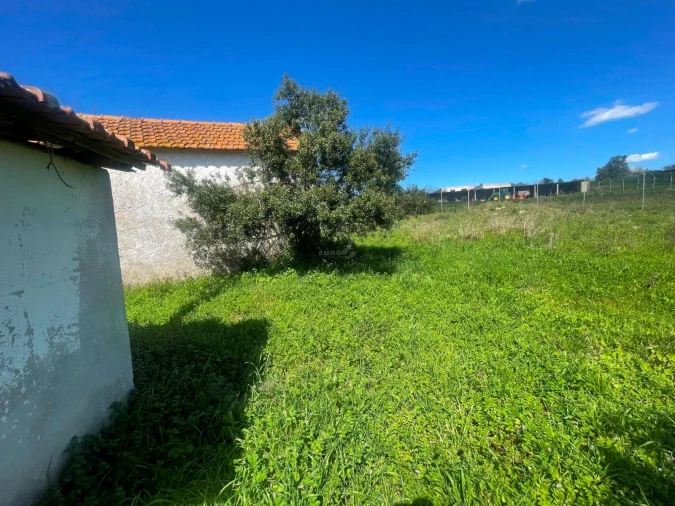 Terreno P/ Prédio para Venda em Milharado Foto 14