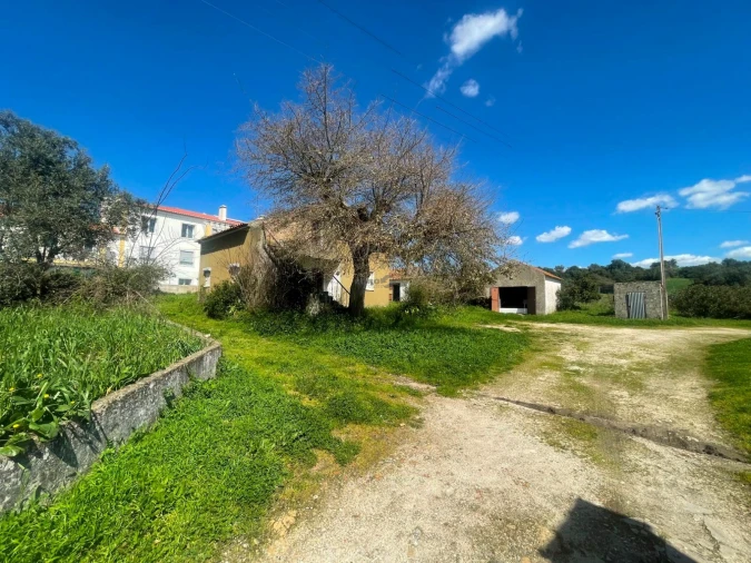 Terreno P/ Prédio para Venda em Milharado Foto 15