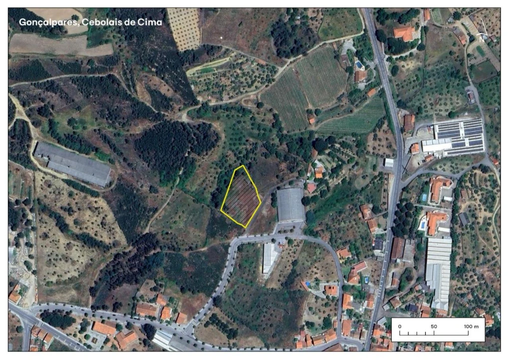 Terreno P/ Prédio para Venda em Cebolais de Cima e Retaxo Foto 1
