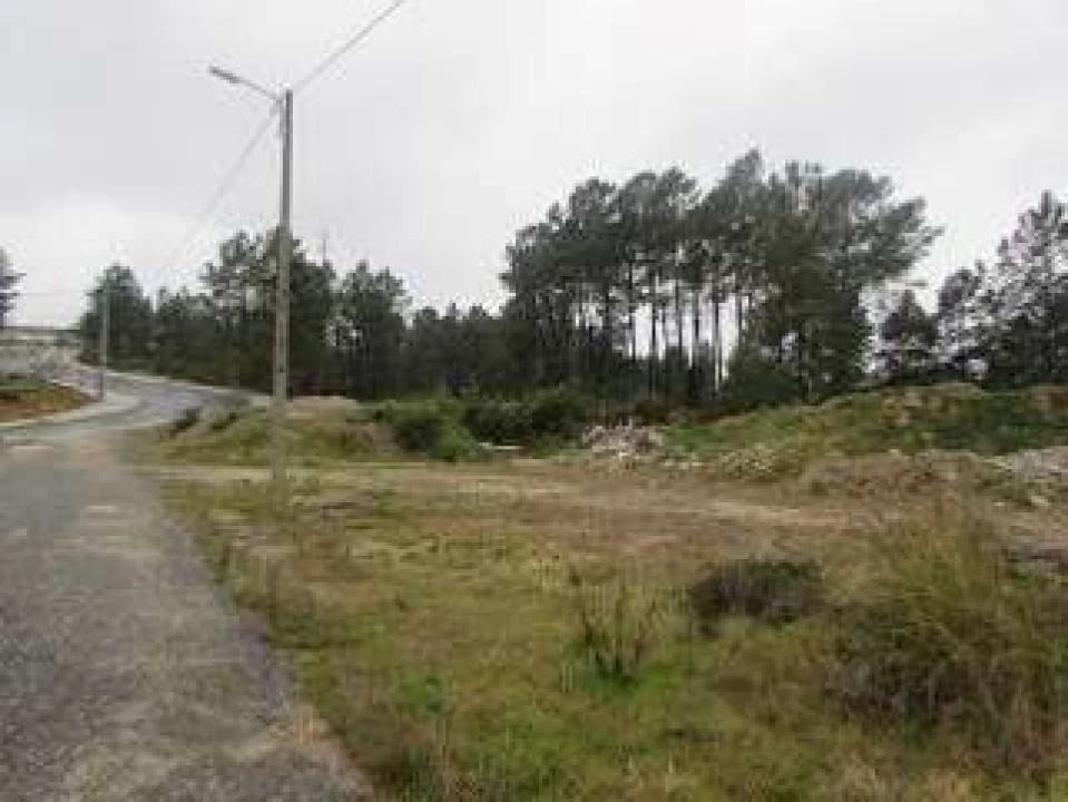 Terreno P/ Prédio para Venda em Cebolais de Cima e Retaxo Foto 2