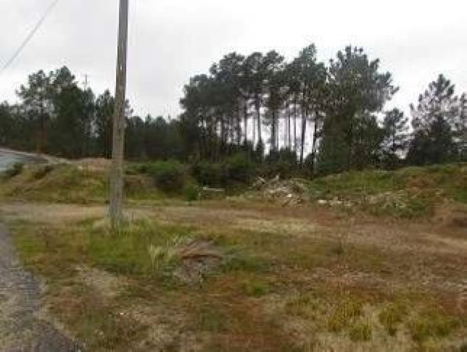 Terreno P/ Prédio para Venda em Cebolais de Cima e Retaxo Foto 3