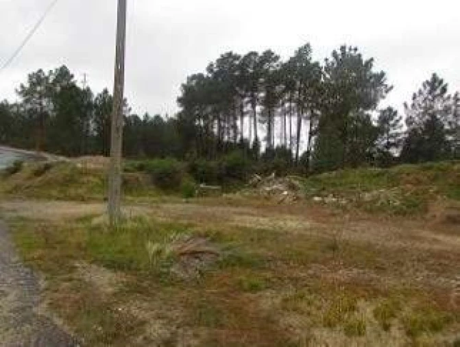 Terreno P/ Prédio para Venda em Cebolais de Cima e Retaxo Foto 3