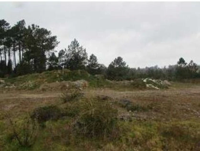 Terreno P/ Prédio para Venda em Cebolais de Cima e Retaxo Foto 6