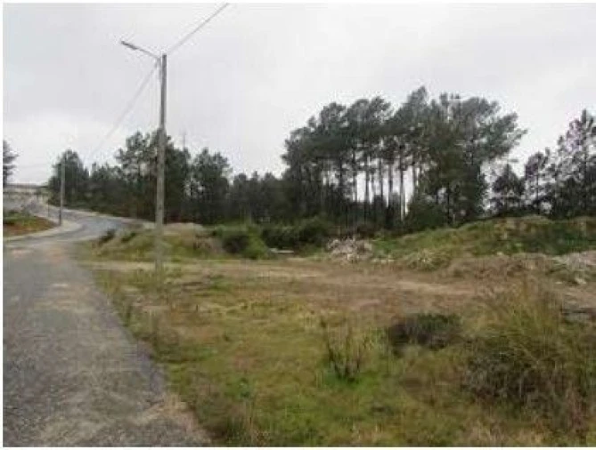 Terreno P/ Prédio para Venda em Cebolais de Cima e Retaxo Foto 7