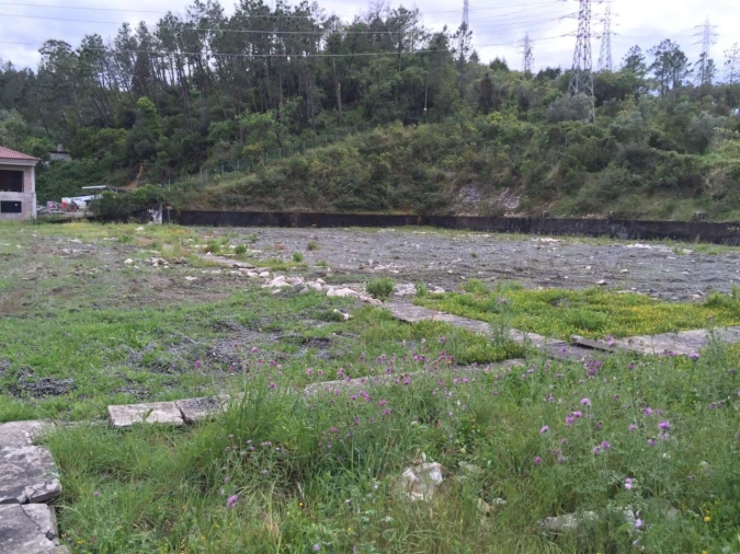 Terreno P/ Prédio para Venda em Santa Clara e Castelo Viegas Foto 3