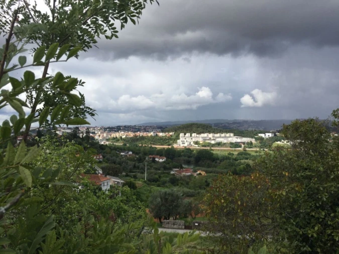 Terreno P/ Prédio para Venda em Santa Clara e Castelo Viegas Foto 13