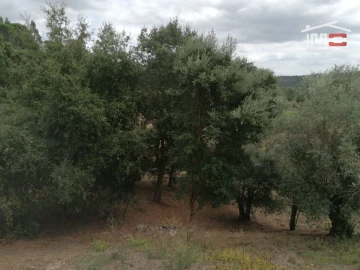 Terreno Agricola ou Rústico para Venda em Alburitel
