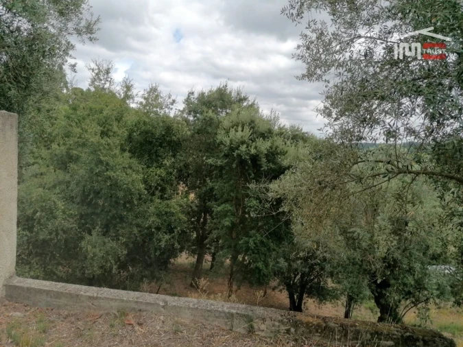 Terreno Agricola ou Rústico para Venda em Alburitel Foto 2