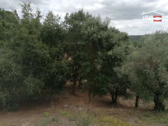 Terreno Agricola ou Rústico para Venda em Alburitel Foto 3