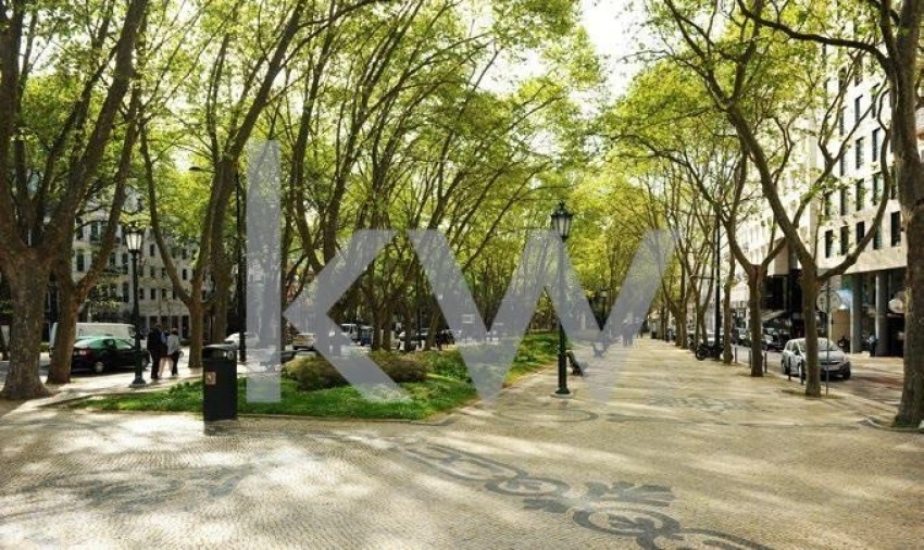 Prédio para Venda em Santo António Foto 6