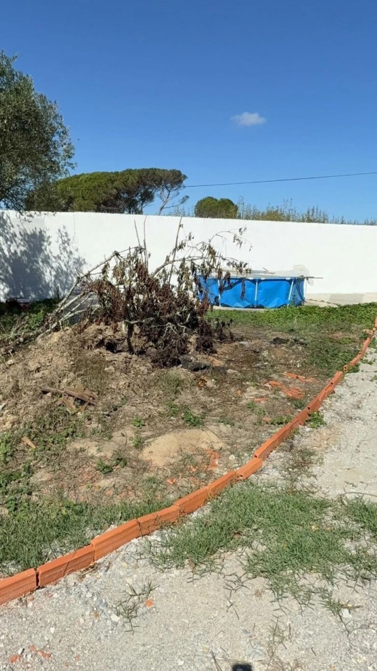 Moradia T2 para Venda em Bombarral e Vale Covo Foto 2