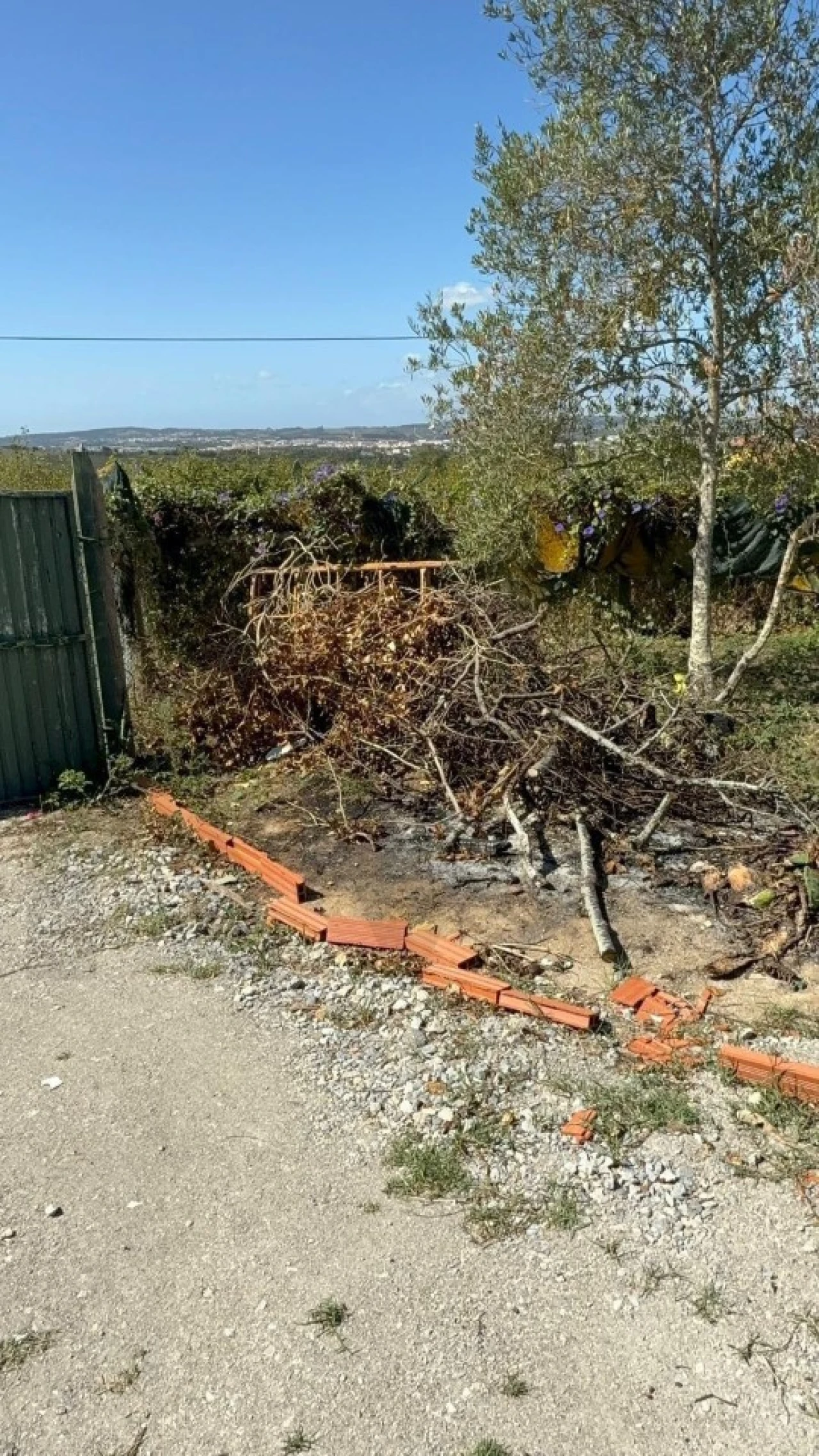 Moradia T2 para Venda em Bombarral e Vale Covo Foto 3