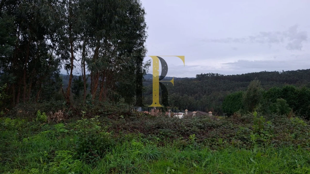 Terreno para Venda em Canedo, Vale e Vila Maior Foto 2